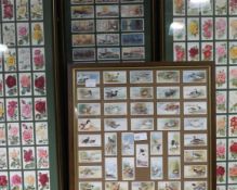 A set of cigarette cards game birds and wildfowl 1927 Players, a framed set of cigarette cards