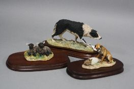 THREE BORDER FINE ARTS SCULPTURES, modelled as a Border Collie, by Mairi Laing Hunt, style one, O55,