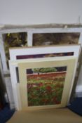 TWO FOLDERS OF UNFRAMED PRINTS, including Limited Editions numbered and signed in pencil, subjects