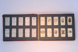 A large mahogany & brass-mounted spirit level, 28