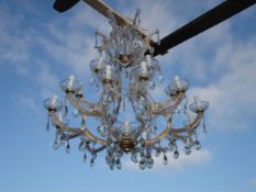 GLASS TABLE, lobe shape 2