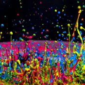 Comp 15.04. quam pharetra