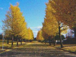 12.10 check Tender 1