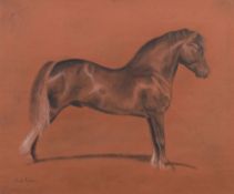 Emil Adam (German, 1843-1924) Welsh stallion